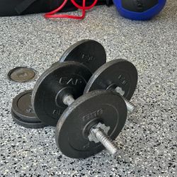 At Home Dumbbells 