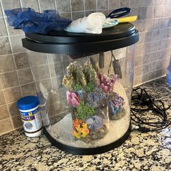 Fish Tank With Rock Decor