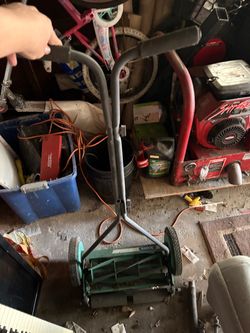 Grasscutter