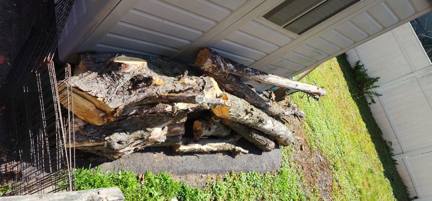 Fire Wood, Apple Tree