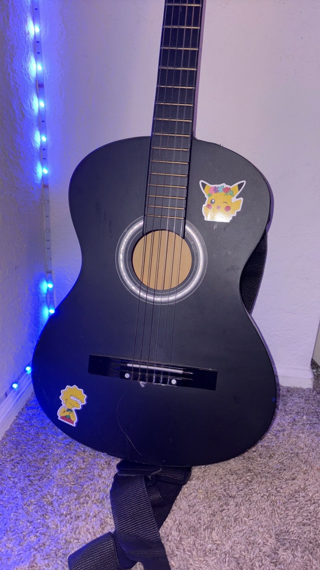 Acoustic Guitar (Damaged)