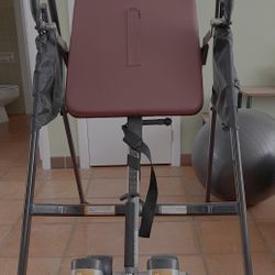 Fitness Reality inversion table