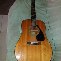 Acoustic Guitar 