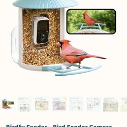 Birdfy Bird Feeder Camera