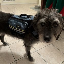 Dog Backpack