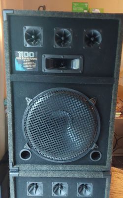DSI speakers