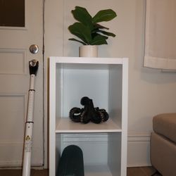 2 Cube Shelf