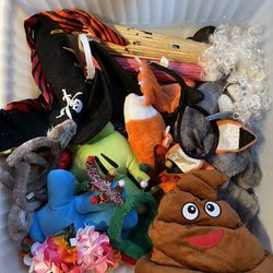 Costume, Halloween, Dress-Up Items 