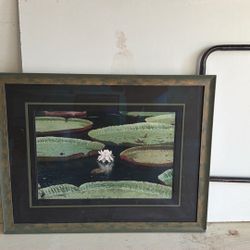 28x36 Framed Photo Signed By D Karam 