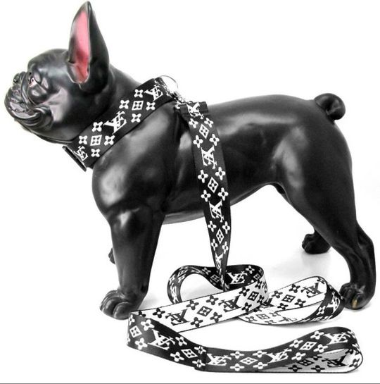 Fashion Medium Size Dog Collar and a Leash Set in Black/White. New.