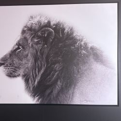 Lion Painting 