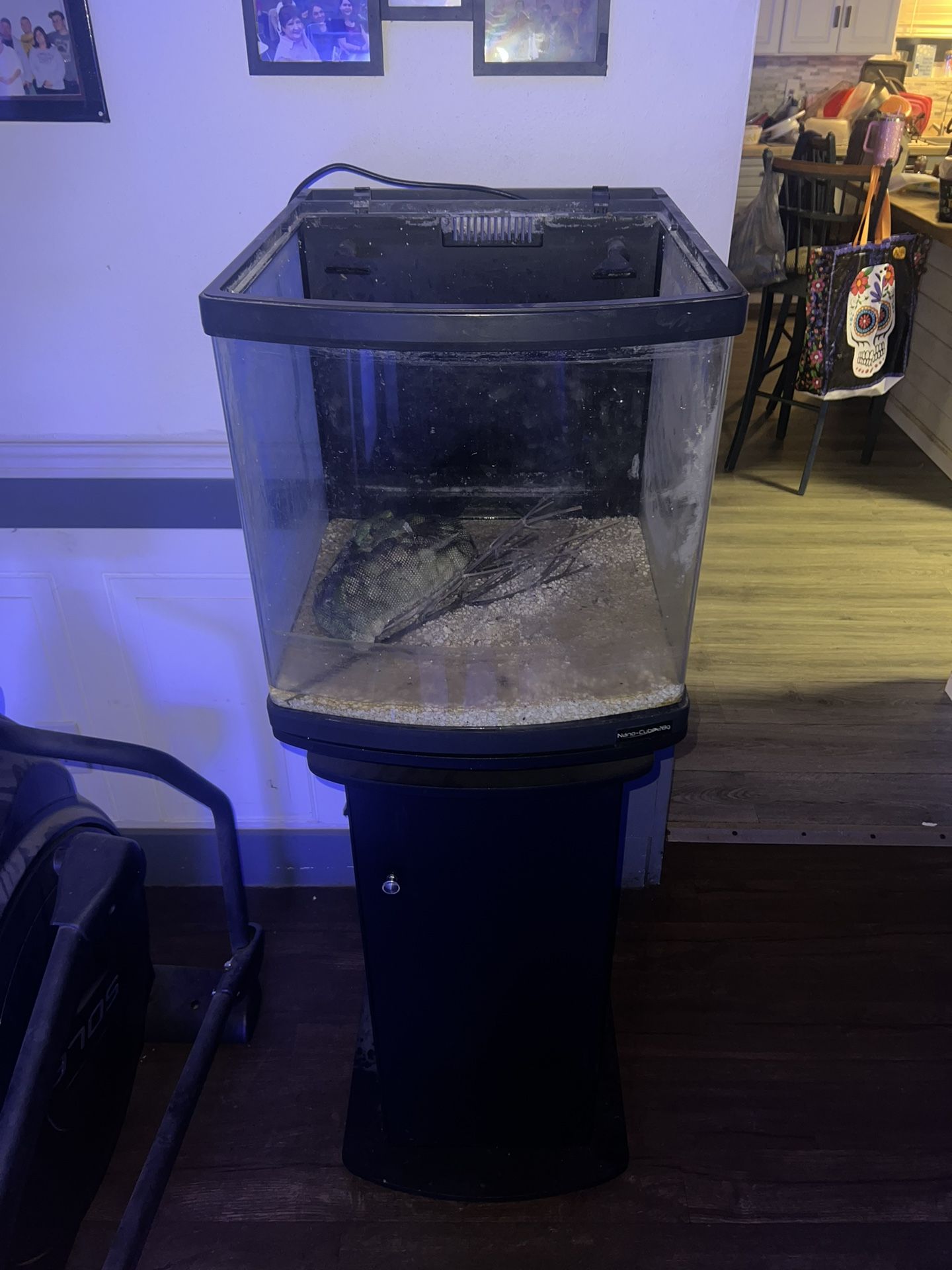 29 Gallon Bio Cube Saltwater Fish tank