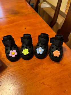 Dog Shoes
