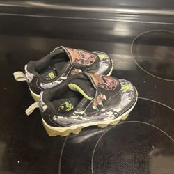 Dinosaur 8c 