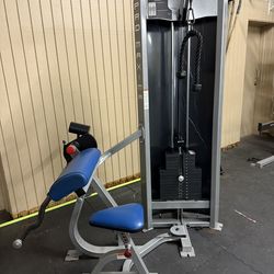 ProMaxima Raptor P-3350 Curl Tricep Machine