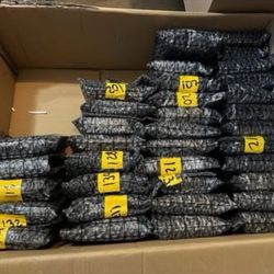 RTX 3070 GPUs For Sale! 