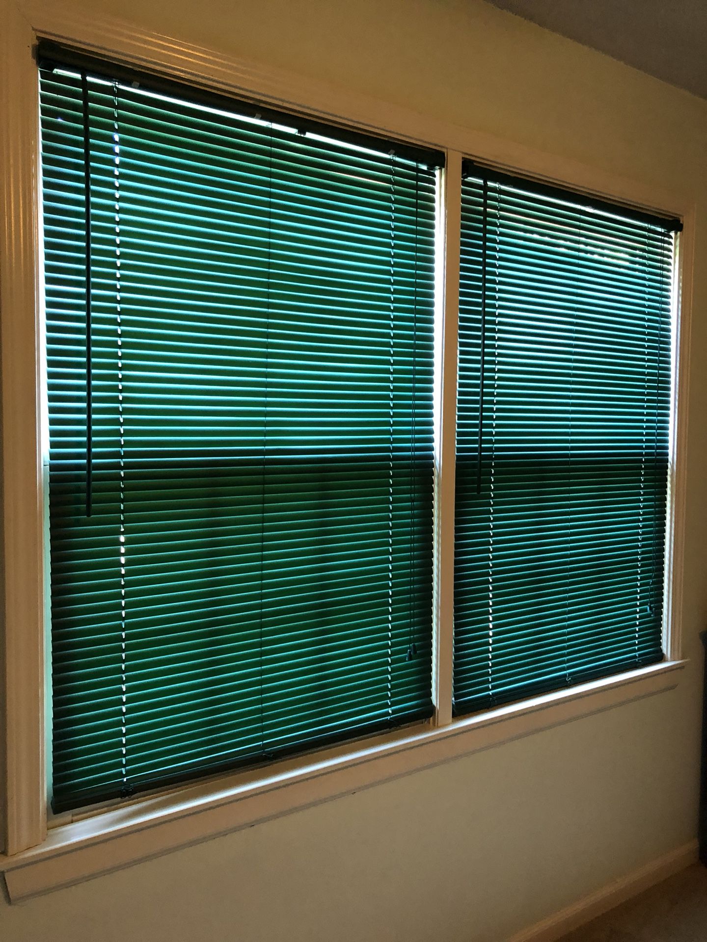 FREE 2 used plastic mini blinds hunter green 35x53