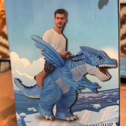 Inflatable costume adult