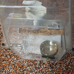 Bird Carrier Winnebago