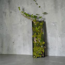 Living wall