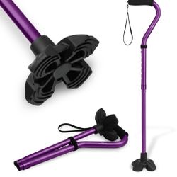 Walking Stick
