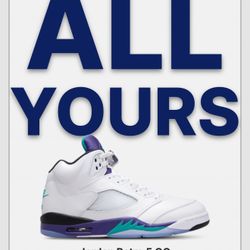 Retro Jordan Grape Sz 10
