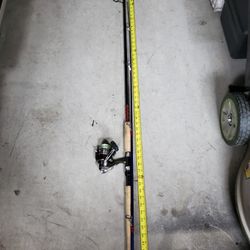 Fishing rod 10ft.