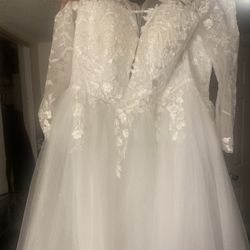 Wedding dress and veil
