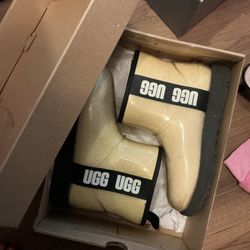 Uggs Boots