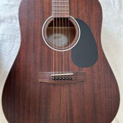 Mitchell Acoustic w/ Case