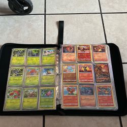 Pokémon Cards binder