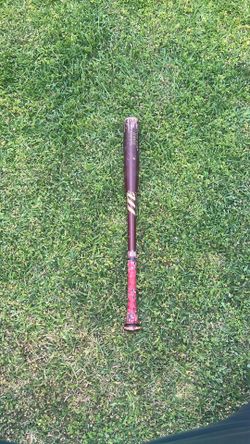 Wood Baseball Bat