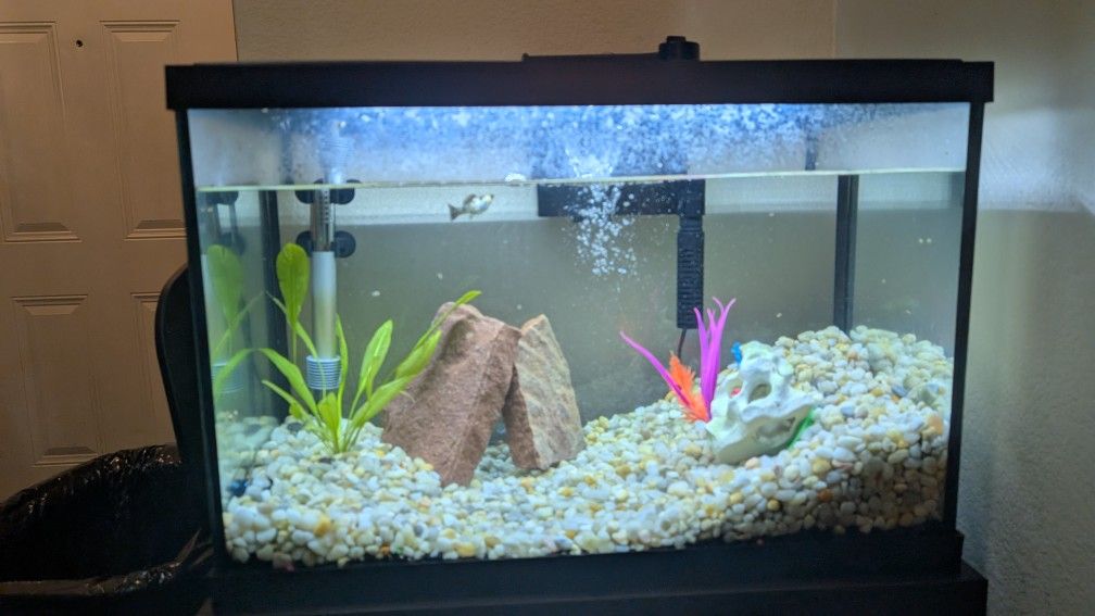 Fish Tank And Products