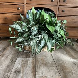 Silk Plant With Wicker Basket