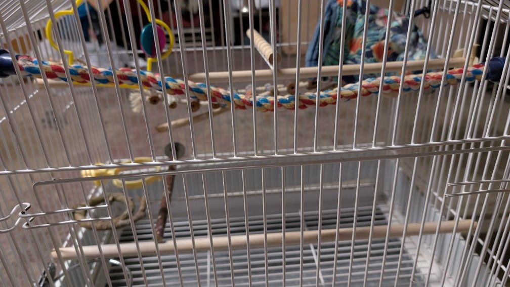 Bird Cage