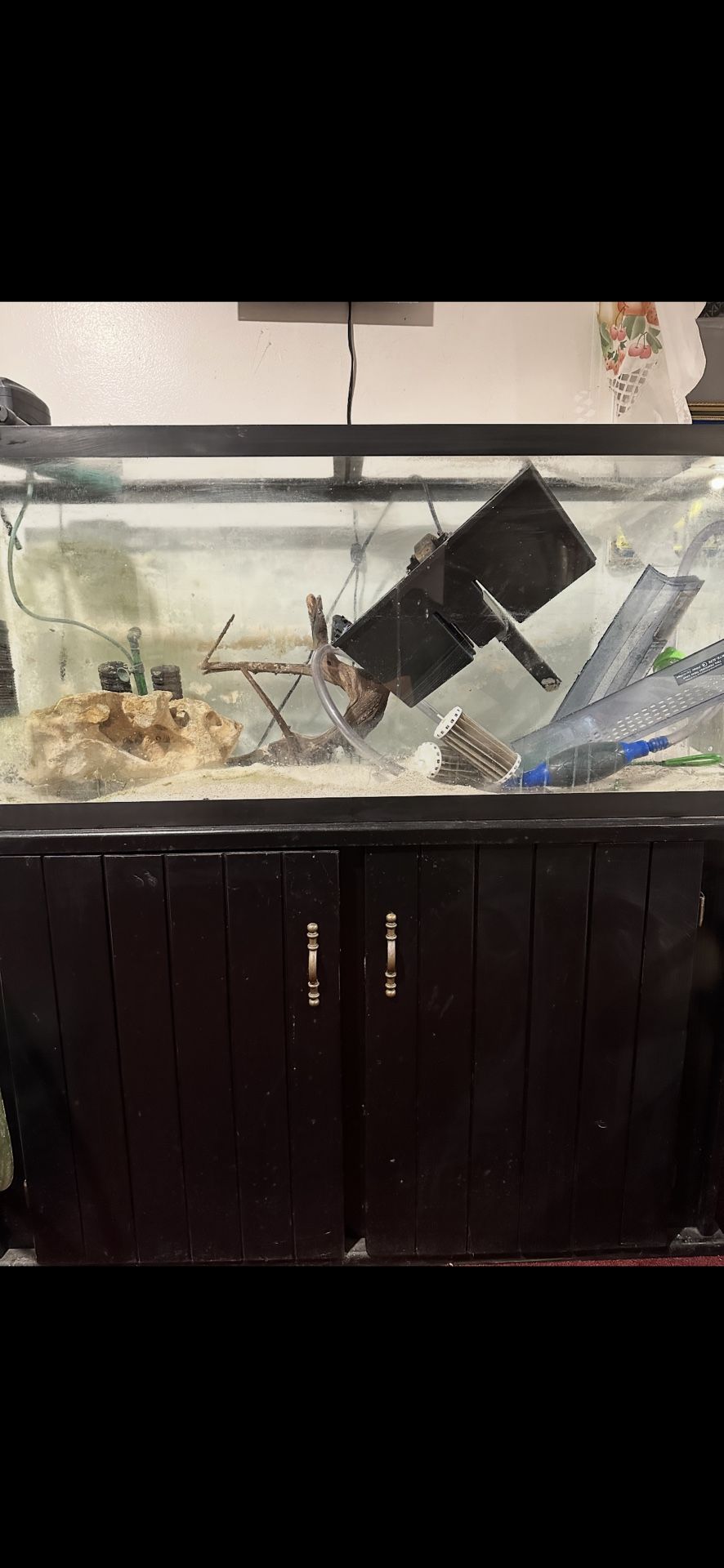 55 Gallon Fish Tank And Stand