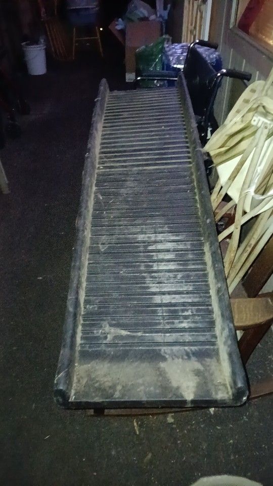 Large Pet crate and Pet ramp