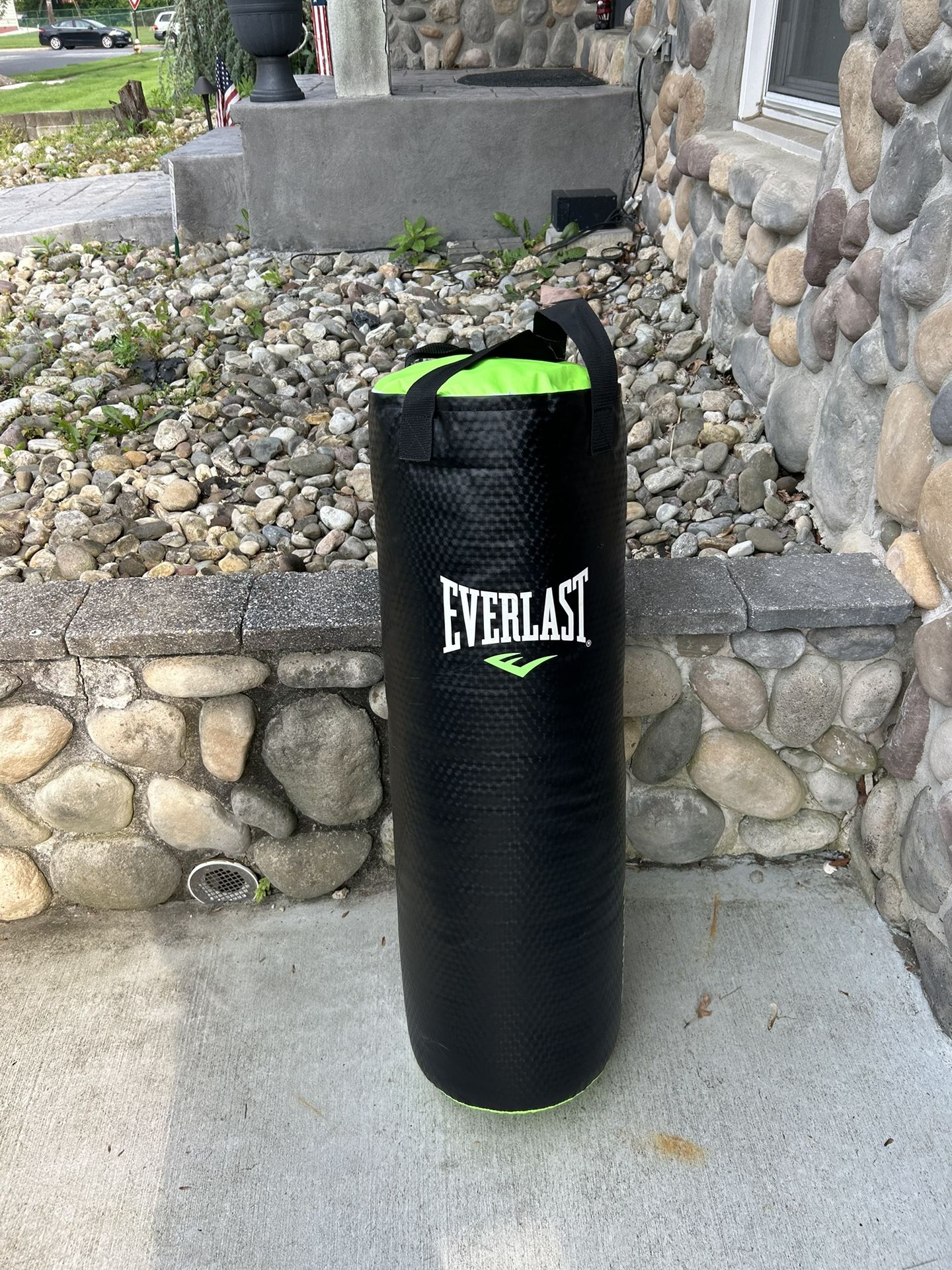 Everlast Punching Bag With Chain
