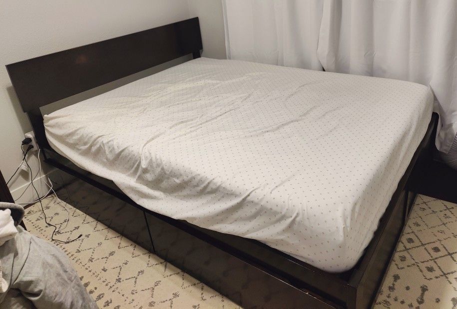 Free Queen Bed (Mattress Not Included)