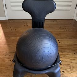 Stability Ball Chair