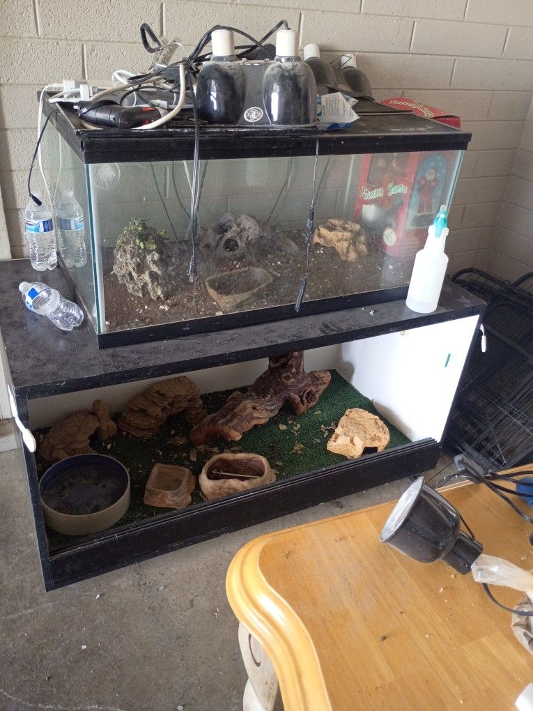 Fish Tanks