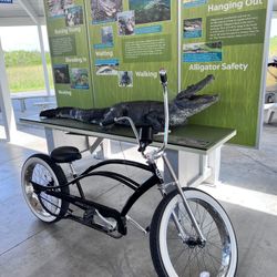 Micargi Bronco 3.0 Bicycle