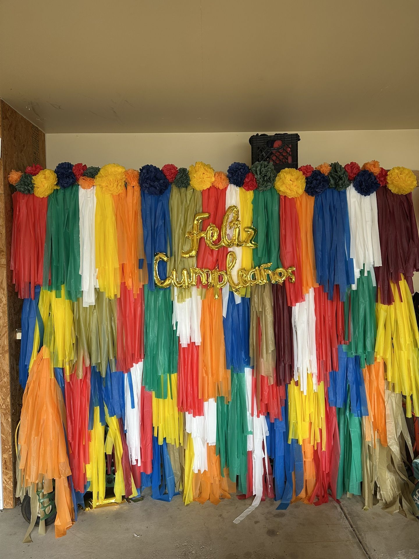 Tassel  Party Backdrop