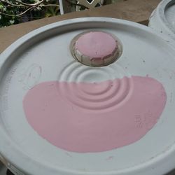 Behr marque paint New