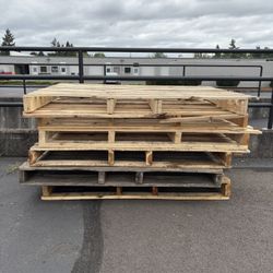 Free Large Pallets 