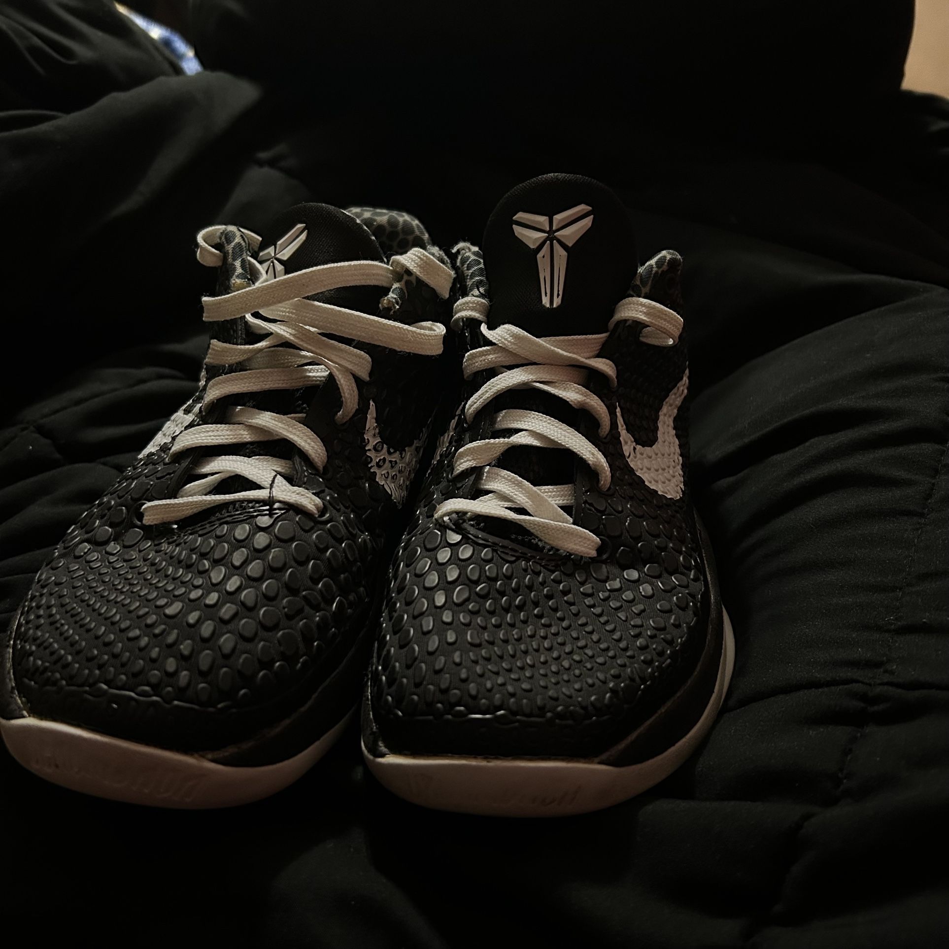 kobe 6 mambacita