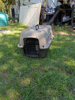 Pet carrier