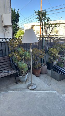 5 ft lamp