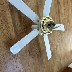 Ceiling Fan Light Combo