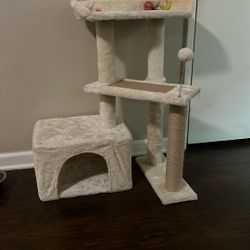 Cat Tower